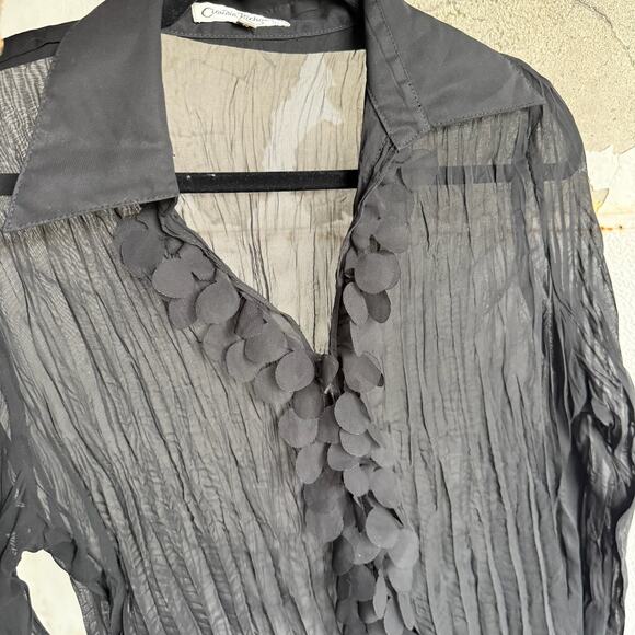 Black Sheer Pleated Blouse Ruffle Long Sleeve Party Top Medium Claudia Richard - Picture 1 of 6